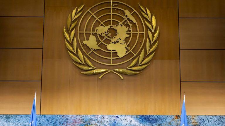 La Chine crée un nouveau groupe d’alliés à l’ONU sur la gouvernance mondiale