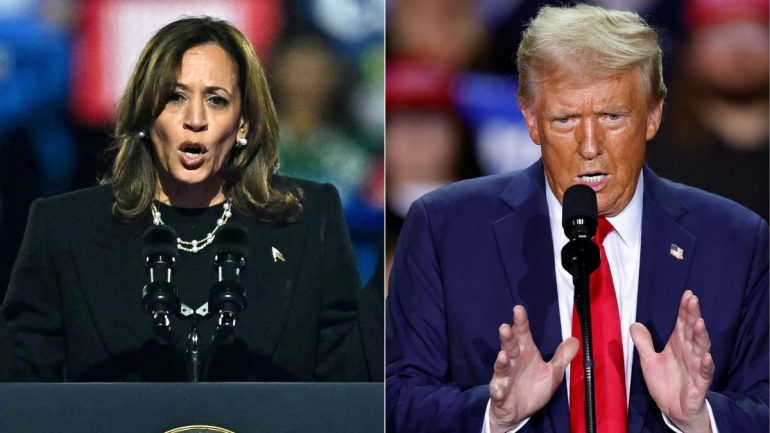 Réseaux sociaux et politique comment les fake news influencent les élections