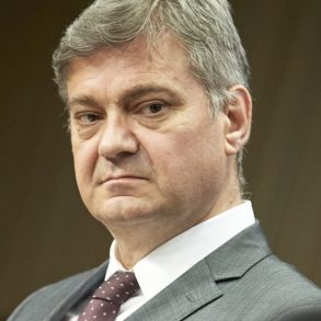 Denis Zvizdić