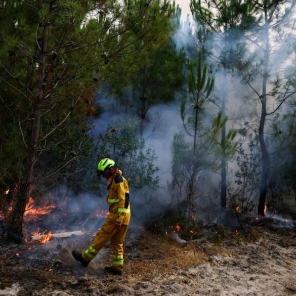 Les incendies géants en France ravivent le débat sur les moyens humains et matériels de la sécurité civile.
