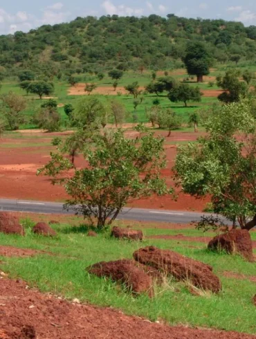 Paysage du Sahel près de Kayes au Mali