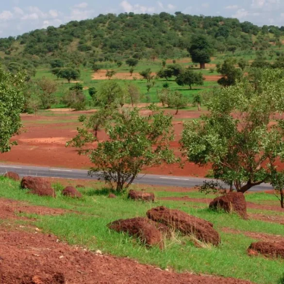 Paysage du Sahel près de Kayes au Mali