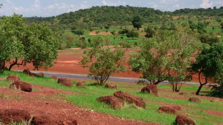Paysage du Sahel près de Kayes au Mali