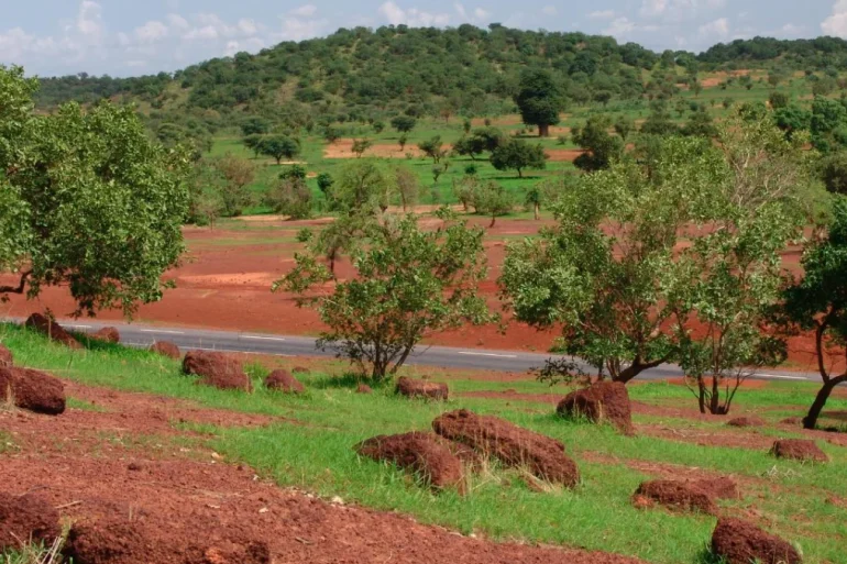 Paysage du Sahel près de Kayes au Mali