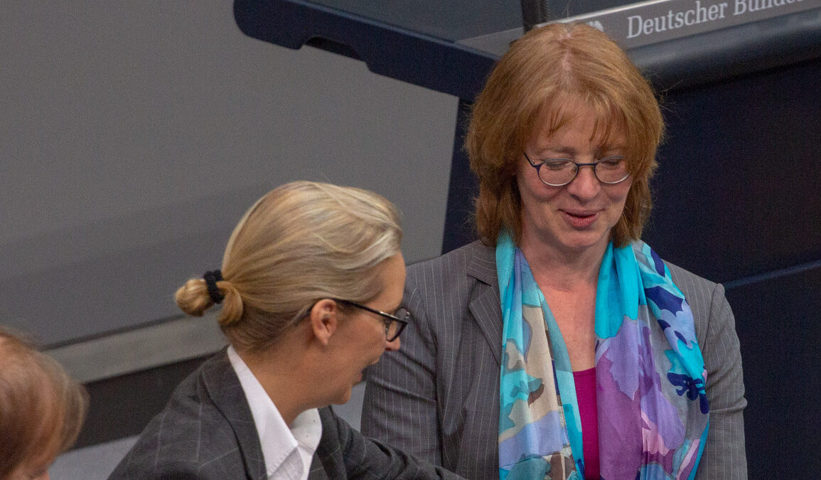 AfD : comment obtenir 44 % et malgré tout ne pas gouverner ?