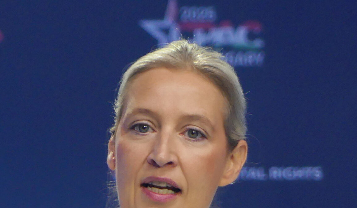 Allemagne : l’AfD tente déjà de briser le cordon sanitaire