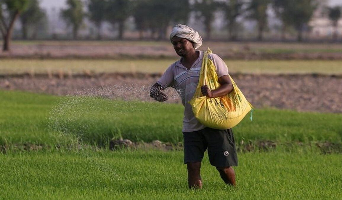 un agriculteur épand des engrais dans un champ en Inde, en 2026.