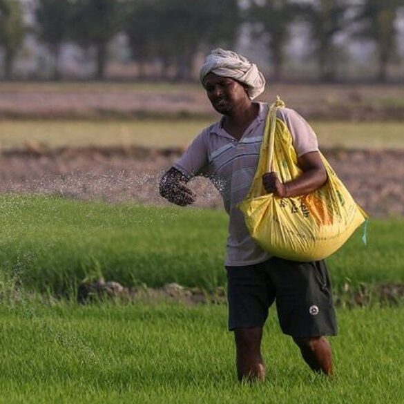 un agriculteur épand des engrais dans un champ en Inde, en 2026.