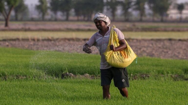 un agriculteur épand des engrais dans un champ en Inde, en 2026.