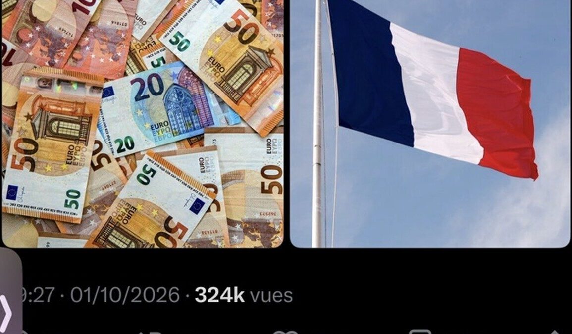 Billets en euros et drapeau français